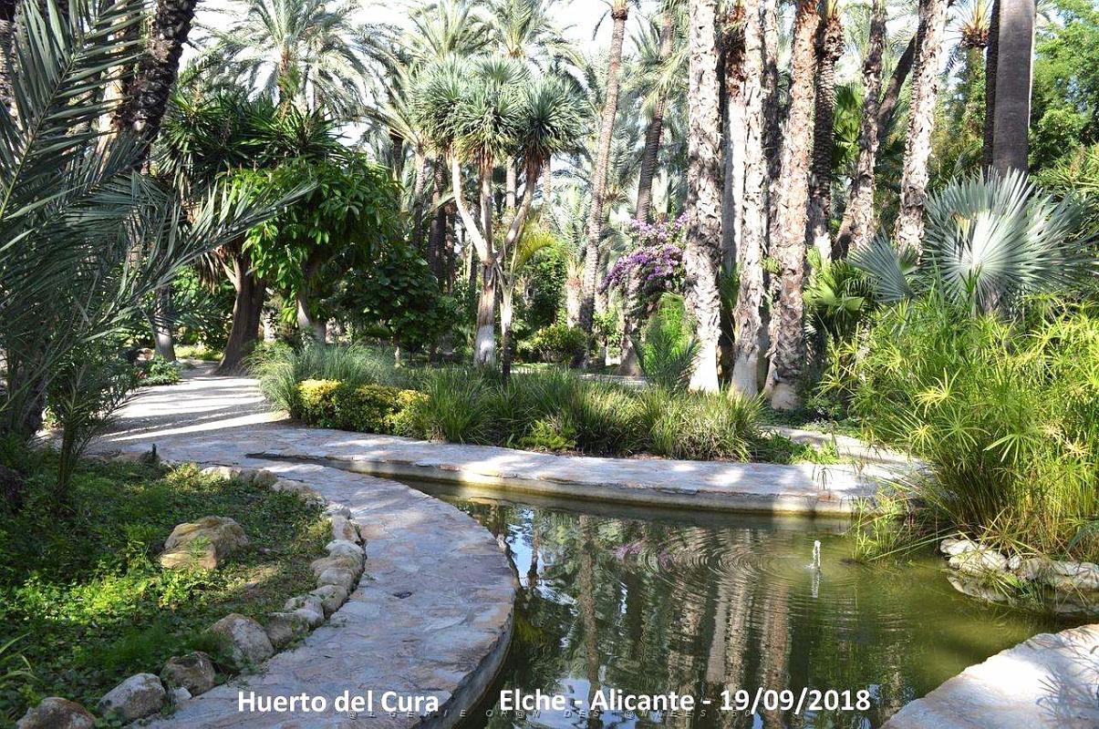 19 ELCHE HUERTO DEL CURA (33).JPG